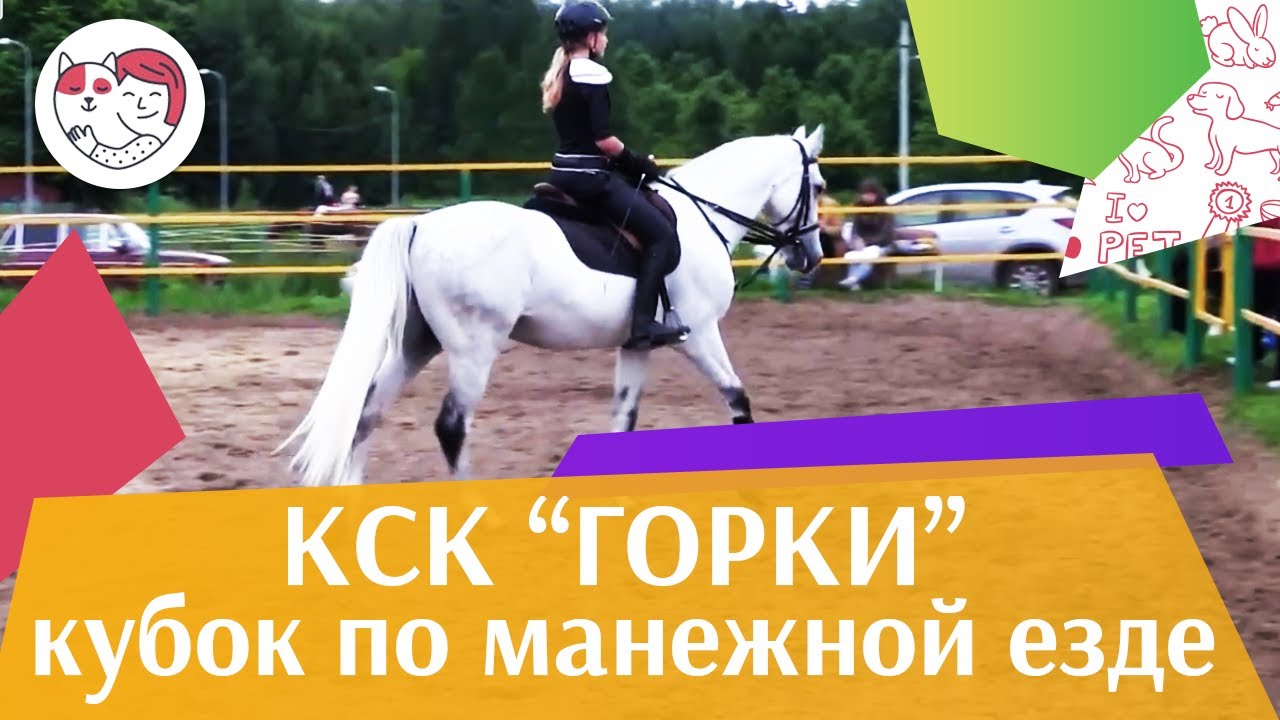 Летний кубок КСК Горки по манежной езде КЮР часть 25 на ilikepet