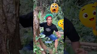 Download lagu Ketika Jomblo Masuk Hutan dan Ketemu Bidadari #shorts mp3