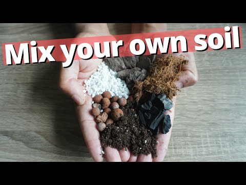 Best Soil for Indoor Plants