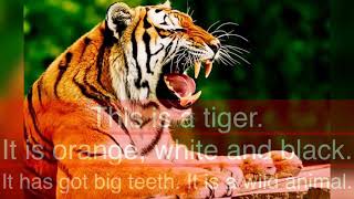 Describing wild animals