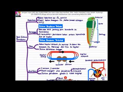 BIOLOGI SPM T4- Bab 10 Pengangkutan dalam Manusia dan Haiwan