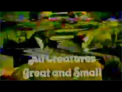 BUCKWILD - Bronx Bars Banned - AXEL LEON