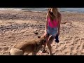 Blonde Wearing Booty Shorts With Dog At The Beach