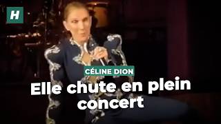 Lors de son 11e concert, double couac pour Céline Dion