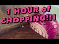 ASMR 1 Hour Compilation 11 Vegetable Chopping Channel
