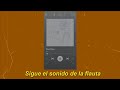Pied Piper BTS Whatsapp Status Sub Español