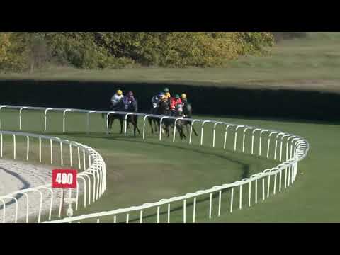 2022.10.16. 07. futam - ÁSZÁRI DÍJ (I.kat.)