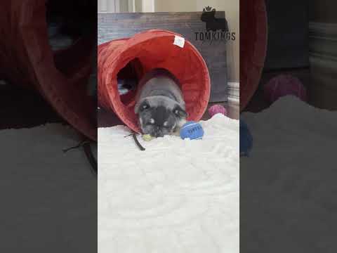 Video 4