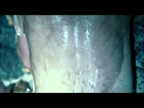 La Piel que Habito -  Extrait 3 VOST