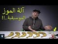 15 آلة موسيقية غريبة لم تسمع عزفهم من قبل | إستمع اليهم الآن..!! 15 آلة موسيقية غريبة لم تسمع عزفهم من قبل | إستمع اليهم الآن..!!