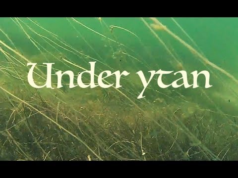 * UNDER YTAN *  2018-07-18
