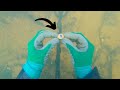 Bedrock Full Of Gold Rings And Jewelry Found In The River Metal Detecting
