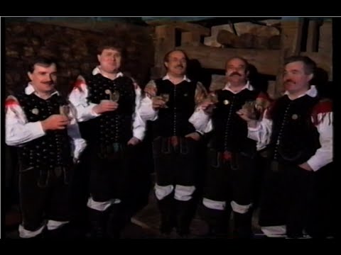 Ansambel BRODNIKI - Ne bom te prosil