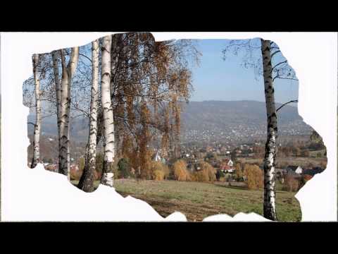 PIEŚŃ TUŁACZA -  ALBERT HARRIS