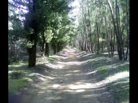 Bosco Bellia - Piazza Armerina