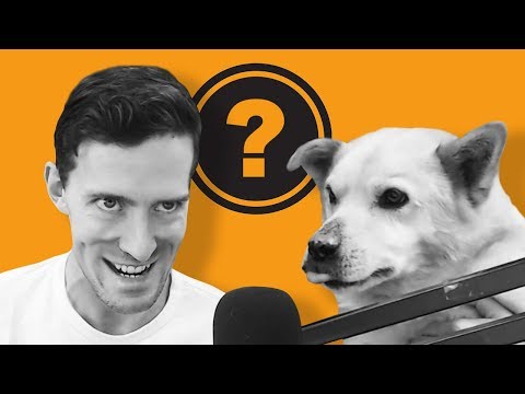 OUR NEW MASCOT? - Open Haus #137