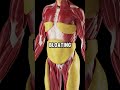 Fun Facts About Foods Healthy Health Nutrition Food Healthyfood Healthtips Healthylifestyle
