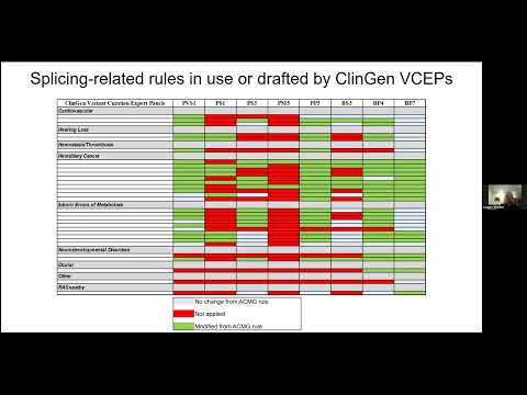 Application of the ACMG/AMP Framework to Capture Evidence Relevant to Impact on Splicing