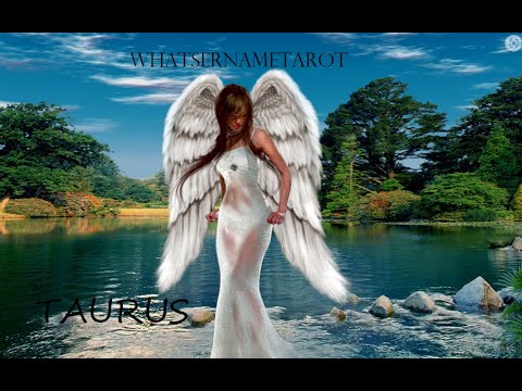 TAURUS Tarot  **Someone Has Your Back When Needed**  26th December 2022