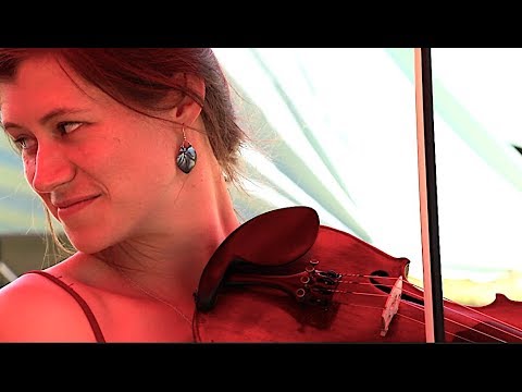 "Tree King Creek"   -  Tashina Clarridge  -  Camp Sumner Sessions