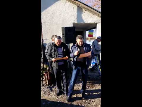 Festivalul suncii - Comisani - 2014