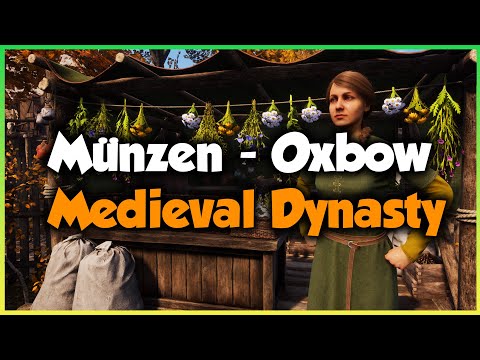 SO verdienst du dir Münzen in Oxbow 🌱 MEDIEVAL DYNASTY 🌱 GUIDE