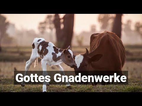 Gottes Gnadenwerke - Kurzauslegung über die Gerechtigkeit Gottes