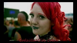 Funker Vogt - Für Dich