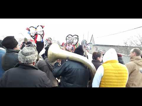 Mascatii Stefan cel Mare 31 decembrie 2021