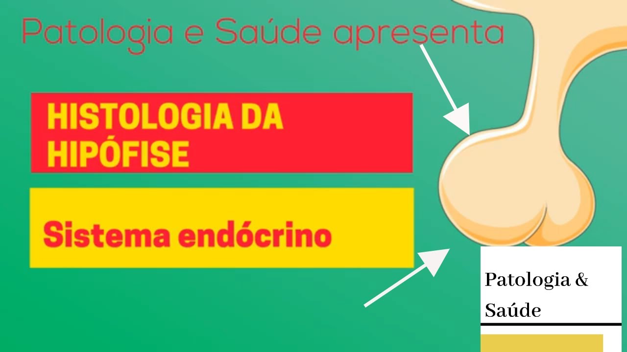 Histologia do Sistema Endócrino: Hipófise