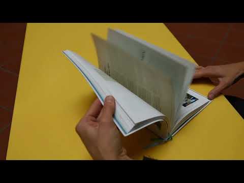 Voda ve městě: pomáháme hospodařit s dešťovou vodou a zelení