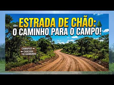 De Camapuã até a Chácara: A Tradicional Festa da Família Miranda no Interior de MS! 🪵🚗