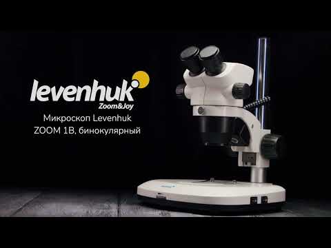 Микроскоп Levenhuk ZOOM 1B, бинокулярный