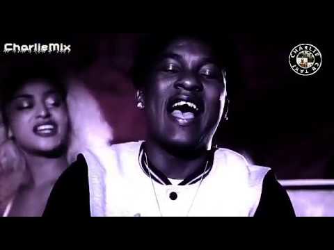 GYAL U A PARTY ANIMAL - Charly Black ft. Daddy Yankee & Luis Fonsi