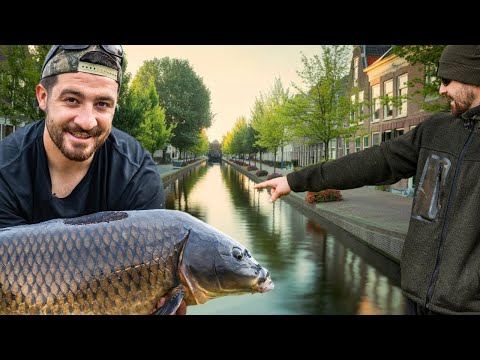 Catching Carp From A Drainage Ditch - AUTUMN URBAN CARP FISHING