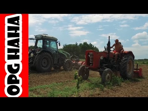 (2018) Total weed extermination | Fruit orchard without any trace of weeds | New Deutz Fahr tractor