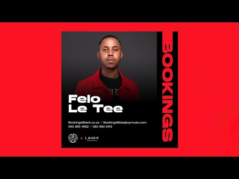 Felo Le Tee x Myztro - 66 (Audio)