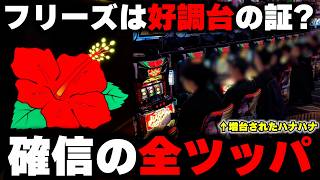 【ハナハナ】朝イチフリーズで好調台を確信!?増台コーナーで全ツッパ!!【パチンカス養分ユウきのガチ実践#454 】