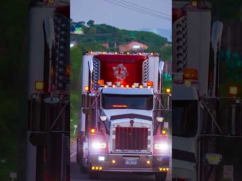 La Leona.📷🇨🇴🔥#truck #trucker #camioneros #colombia #trailer #conductor #camion #bus #mulas #trailers