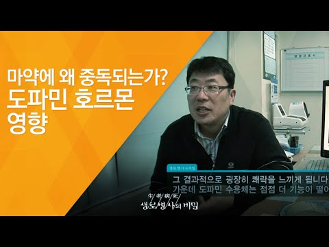 생로병사 이야기: 숨겨진 비밀