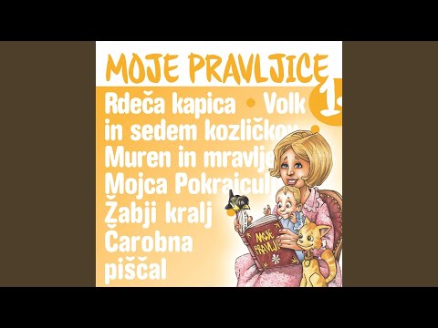 Žabji kralj
