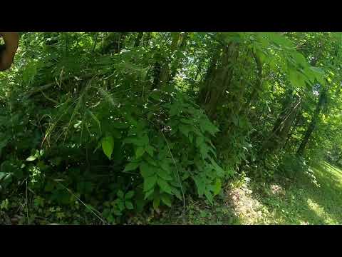 Afternoon ride time lapse