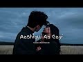 Aashiqui Aa Gayi Lofi (Slowed And Reverb) Song | Aashiqui Aa Gayi Song | DM Lofi