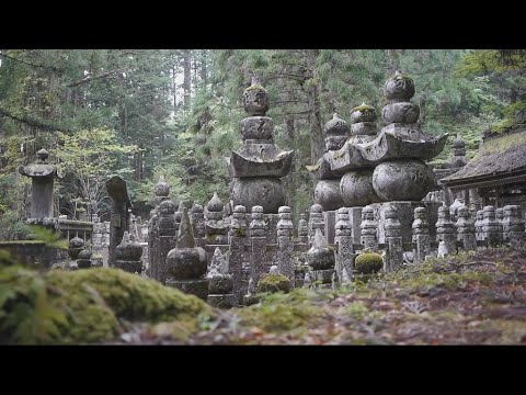 Por que o cemitério mais antigo do Japão está se tornando uma atração turística