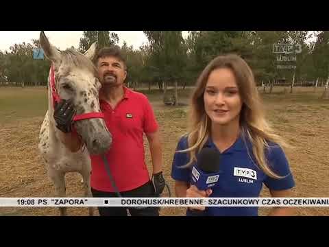 Lato z TVP3 Lublin 23 sierpnia 2020, g  19:00