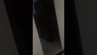 Pardo Ordinael 8 meses Goiano Classico c/repetição