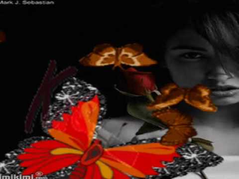 Butterfly....♥♥♥(Kety)♥♥♥