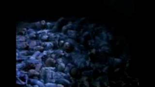 Scully knows what's up