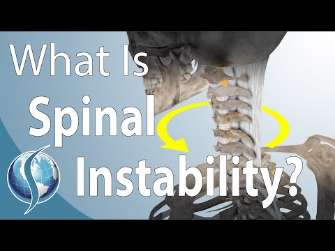 image-What provides stability to the spine?