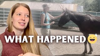 What happened to the Raven series? I hit a bump in the road...